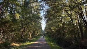 walking trail with trees surrounding it and biker